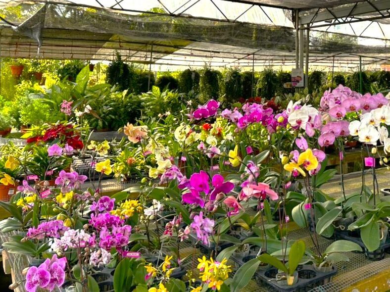 Le Florist Kuantan