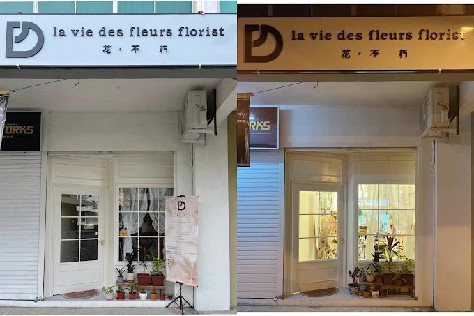 La vie des fleurs florist