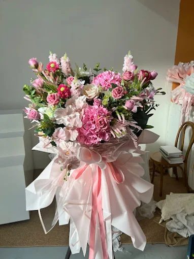 Sophia Creation